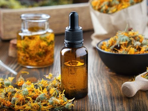 Caléndula para qué sirve, tipos y contraindicaciones