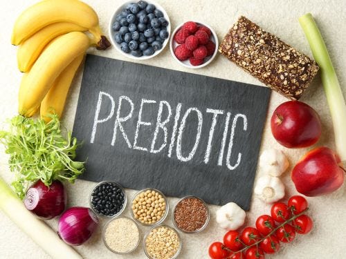 Qué son los prebioticos