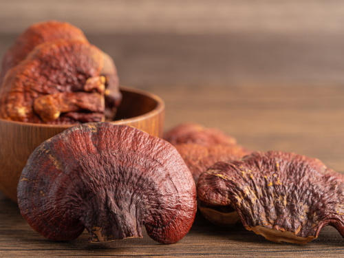 reishi-propiedades-beneficios-contraindicaciones Propiedades del reishi